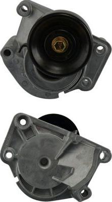 Kavo Parts DTP-9009 - Galoppino / Guidacinghia, Cinghia Poly-V www.autoricambi360.it