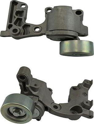 Kavo Parts DTP-9006 - Galoppino / Guidacinghia, Cinghia Poly-V www.autoricambi360.it