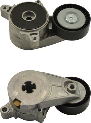 Kavo Parts DTP-5522 - Galoppino / Guidacinghia, Cinghia Poly-V www.autoricambi360.it