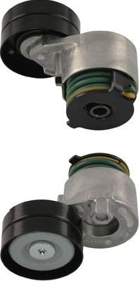 Kavo Parts DTP-6509 - Galoppino / Guidacinghia, Cinghia Poly-V www.autoricambi360.it