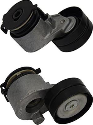 Kavo Parts DTP-6508 - Galoppino / Guidacinghia, Cinghia Poly-V www.autoricambi360.it