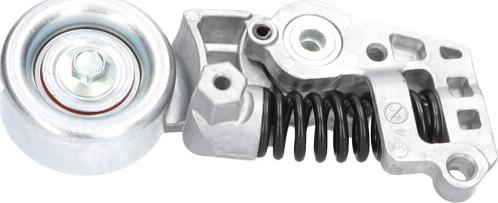 Kavo Parts DTP-10014 - Galoppino / Guidacinghia, Cinghia Poly-V www.autoricambi360.it