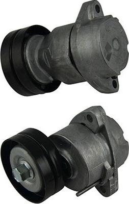 Kavo Parts DTP-1001 - Galoppino / Guidacinghia, Cinghia Poly-V www.autoricambi360.it