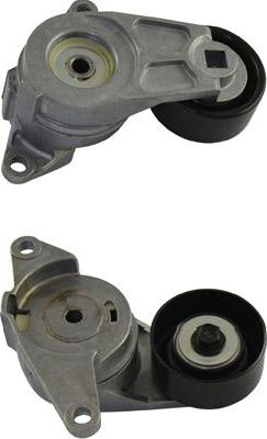 Kavo Parts DTP-1010 - Galoppino / Guidacinghia, Cinghia Poly-V www.autoricambi360.it