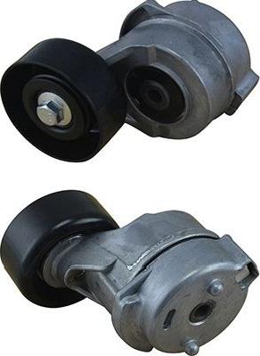 Kavo Parts DTP-3016 - Galoppino / Guidacinghia, Cinghia Poly-V www.autoricambi360.it