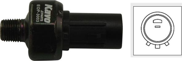 Kavo Parts EOP-3003 - Sensore, Pressione olio www.autoricambi360.it
