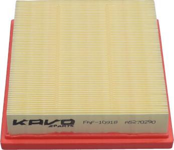 Kavo Parts FAF-10918 - Filtro aria www.autoricambi360.it