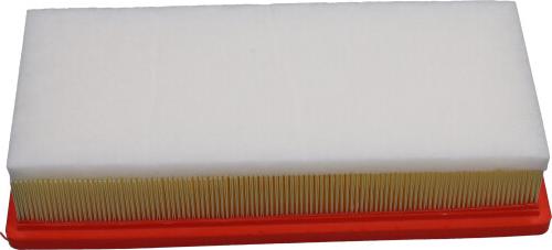 Kavo Parts FAF-10092 - Filtro aria www.autoricambi360.it