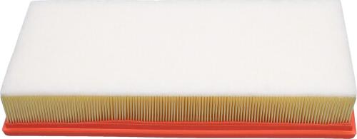Kavo Parts FAF-10044 - Filtro aria www.autoricambi360.it