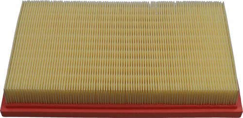 Kavo Parts FAF-10041 - Filtro aria www.autoricambi360.it