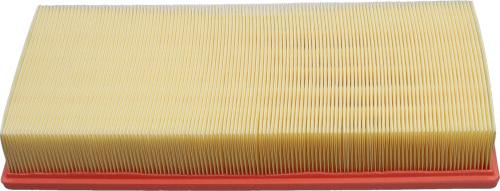 Kavo Parts FAF-10043 - Filtro aria www.autoricambi360.it