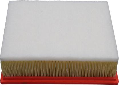 Kavo Parts FAF-10088 - Filtro aria www.autoricambi360.it