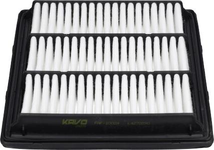 Kavo Parts FAF-10024 - Filtro aria www.autoricambi360.it