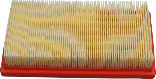 Kavo Parts FAF-10184 - Filtro aria www.autoricambi360.it