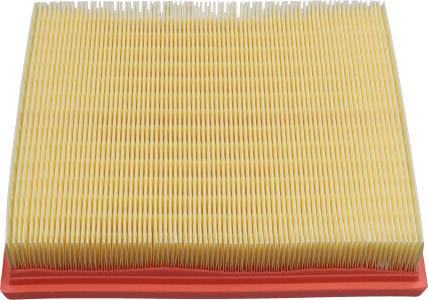 Kavo Parts FAF-10186 - Filtro aria www.autoricambi360.it