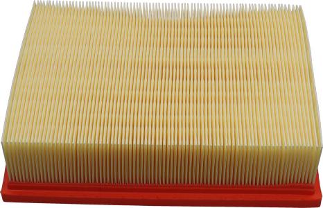 Kavo Parts FAF-10138 - Filtro aria www.autoricambi360.it