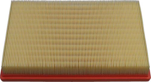 Kavo Parts FAF-10170 - Filtro aria www.autoricambi360.it