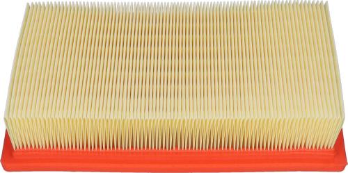 Kavo Parts FAF-10218 - Filtro aria www.autoricambi360.it