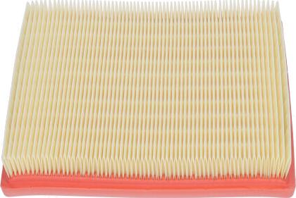 Kavo Parts FAF-10733 - Filtro aria www.autoricambi360.it