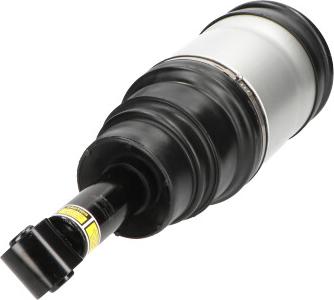 Kavo Parts SAS-10020 - Gamba elastica con ammortiz. pneumatico www.autoricambi360.it