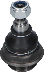 Kavo Parts SBJ-10143 - Giunto di supporto / guida www.autoricambi360.it