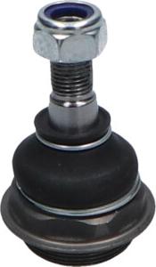 Kavo Parts SBJ-10160 - Giunto di supporto / guida www.autoricambi360.it