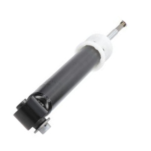 Kavo Parts SSA-10566 - Ammortizzatore www.autoricambi360.it