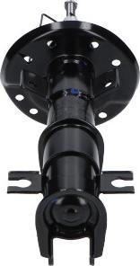 Kavo Parts SSA-10829 - Ammortizzatore www.autoricambi360.it