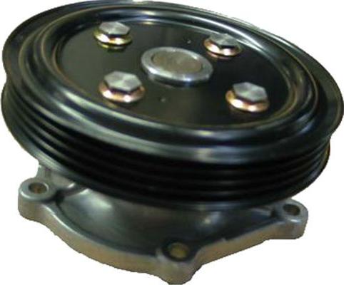 Kavo Parts SW-1909 - Pompa acqua www.autoricambi360.it