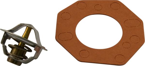 Kavo Parts TH-9013 - Termostato, Refrigerante www.autoricambi360.it