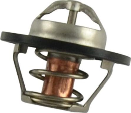 Kavo Parts TH-6522 - Termostato, Refrigerante www.autoricambi360.it