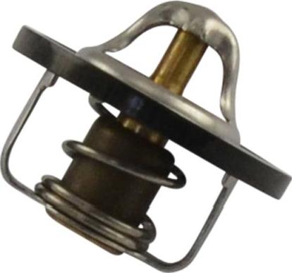 Kavo Parts TH-1004 - Termostato, Refrigerante www.autoricambi360.it