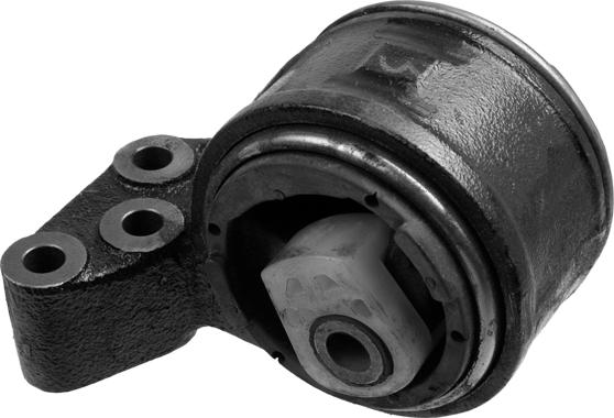 Lemförder 22421 01 - Sospensione, Motore www.autoricambi360.it