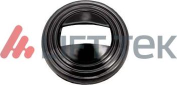 Lift-Tek LT6019 - Maniglia apriporta www.autoricambi360.it