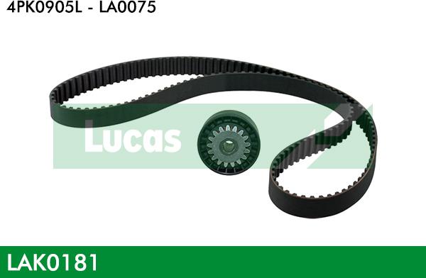 LUCAS LAK0181 - Kit Cinghie Poly-V www.autoricambi360.it