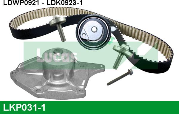 LUCAS LKP031-1 - Pompa acqua + Kit cinghie dentate www.autoricambi360.it