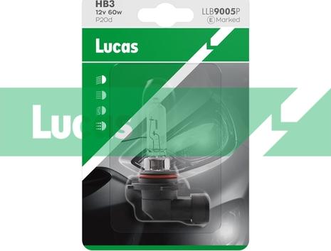 LUCAS LLB9005P - Lampadina, Faro di profondità www.autoricambi360.it
