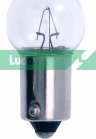 LUCAS LLB989 - Lampadina, Luce targa www.autoricambi360.it