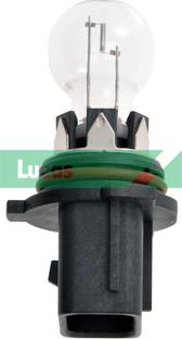 LUCAS LLB184 - Lampadina, Luce guida diurna www.autoricambi360.it