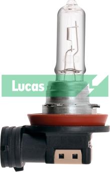 LUCAS LLB709 - Lampadina, Faro di profondità www.autoricambi360.it