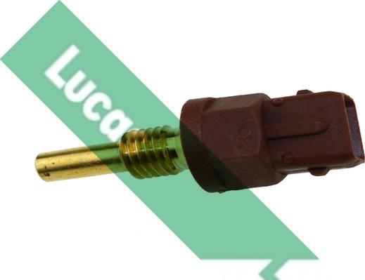 LUCAS SNB848 - Sensore, Temperatura olio www.autoricambi360.it