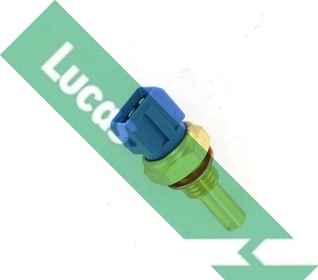 LUCAS SNB809 - Sensore, Temperatura olio www.autoricambi360.it