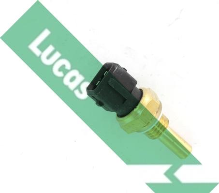 LUCAS SNB810 - Sensore, Temperatura refrigerante www.autoricambi360.it