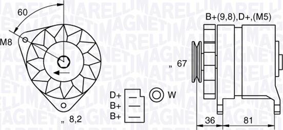 Magneti Marelli 054022384010 - Alternatore www.autoricambi360.it