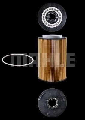 Magneti Marelli 154072350182 - Filtro olio www.autoricambi360.it