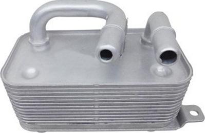 Magneti Marelli 359001602220 - Radiatore olio, Cambio automatico www.autoricambi360.it
