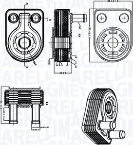 Magneti Marelli 350300005500 - Radiatore olio, Olio motore www.autoricambi360.it