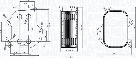 Magneti Marelli 350300005700 - Radiatore olio, Olio motore www.autoricambi360.it