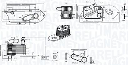 Magneti Marelli 350300006800 - Radiatore olio, Olio motore www.autoricambi360.it