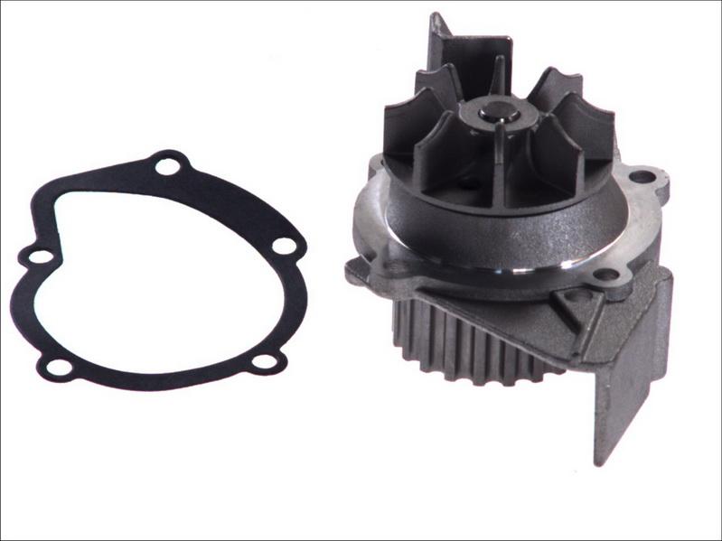 Magneti Marelli 352316170893 - Pompa acqua www.autoricambi360.it